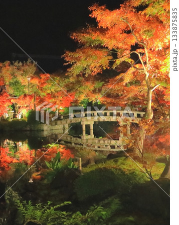 秋の永観堂(放生池・ライトアップ・京都市・縦構図) 秋の永観堂(放生池・ライトアップ・京都市・縦構図) 133875835