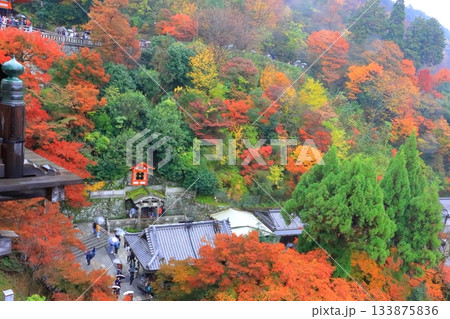 秋の清水寺(本堂舞台より・音羽の滝・京都市) 秋の清水寺(本堂舞台より・音羽の滝・京都市) 133875836
