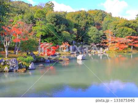 秋の天龍寺（曹源池・世界文化遺産・京都市） 133875840