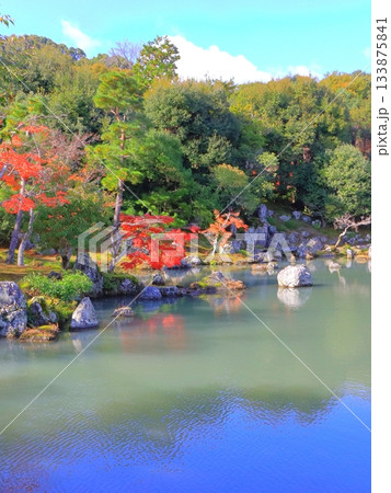 秋の天龍寺(曹源池・世界文化遺産・京都市・縦構図) 秋の天龍寺(曹源池・世界文化遺産・京都市・縦構図) 133875841