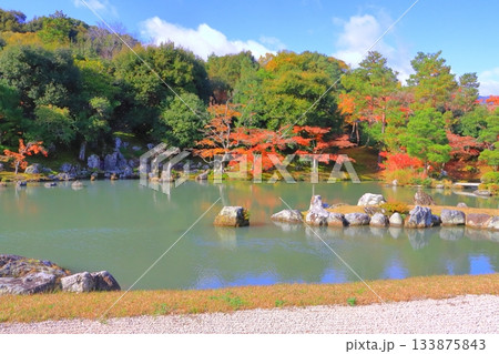 秋の天龍寺（曹源池・世界文化遺産・京都市） 133875843