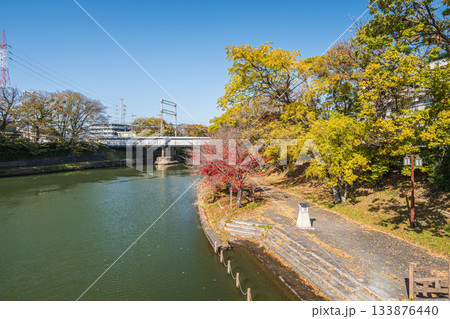 晩秋の濠川沿いの遊歩道　京都市伏見区 133876440