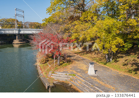 晩秋の濠川沿いの遊歩道　京都市伏見区 133876441