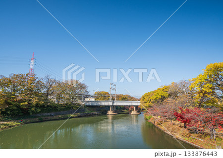 晩秋の濠川沿いの遊歩道　京都市伏見区 133876443