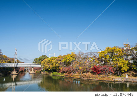 晩秋の濠川風景　京都市伏見区 133876449