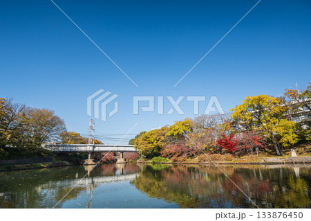 晩秋の濠川風景　京都市伏見区 133876450