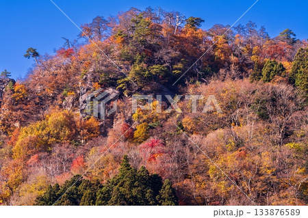 紅葉した岩山 133876589