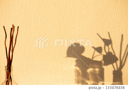 壁に映る影 133876836