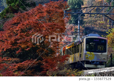 鉄道, 列車, 電車, 叡電, エイデン, 叡山電鉄, 100系, 舞, テビュー, 紅葉, かえで 133877529