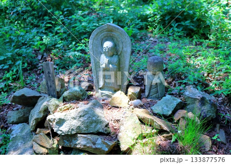 7月の上田太郎山の縦走と花々 信州の山々 信州の風景 7月の上田太郎山の縦走と花々 信州の山々 信州の風景 133877576