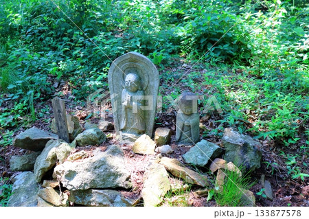 7月の上田太郎山の縦走と花々 信州の山々 信州の風景 7月の上田太郎山の縦走と花々 信州の山々 信州の風景 133877578