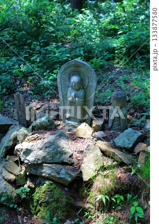 7月の上田太郎山の縦走と花々 信州の山々 信州の風景 7月の上田太郎山の縦走と花々 信州の山々 信州の風景 133877580