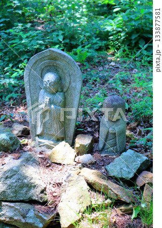 7月の上田太郎山の縦走と花々　　　信州の山々　　　信州の風景 133877581