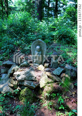 7月の上田太郎山の縦走と花々 信州の山々 信州の風景 7月の上田太郎山の縦走と花々 信州の山々 信州の風景 133877582