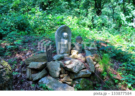 7月の上田太郎山の縦走と花々 信州の山々 信州の風景 7月の上田太郎山の縦走と花々 信州の山々 信州の風景 133877584