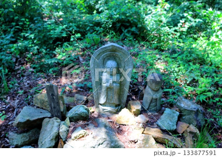 7月の上田太郎山の縦走と花々 信州の山々 信州の風景 7月の上田太郎山の縦走と花々 信州の山々 信州の風景 133877591
