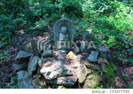 7月の上田太郎山の縦走と花々 信州の山々 信州の風景 7月の上田太郎山の縦走と花々 信州の山々 信州の風景 133877595