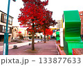 紅葉した街路樹 133877633