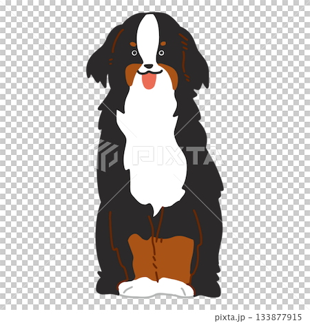 Bernese Mountain Dog - Hand-drawn, relaxed dog illustration 133877915