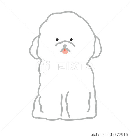 ビション・フリーゼ　手書き　ゆるい犬イラスト 133877916