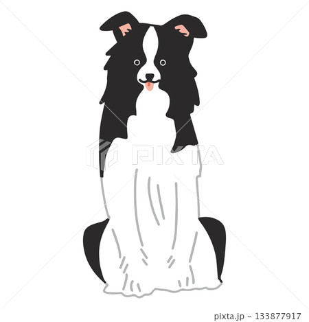 ボーダー・コリー　手書き　ゆるい犬イラスト 133877917