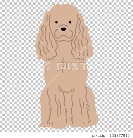 美國可卡犬 - 手繪，輕鬆自在的狗狗插畫 133877919