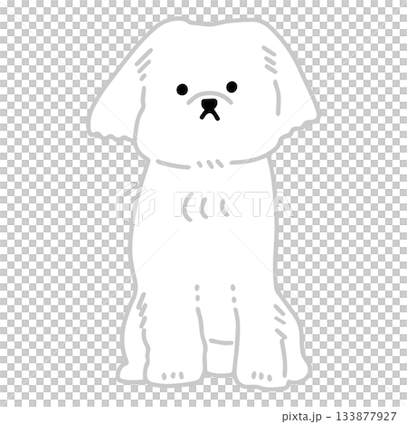 馬耳他犬手繪插圖 133877927