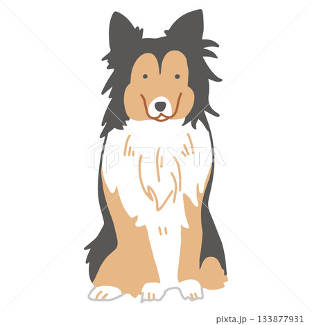 シェットランドシープドッグ　シェルティ　手書き　ゆるい犬イラスト 133877931