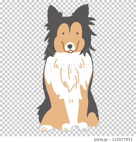 シェットランドシープドッグ　シェルティ　手書き　ゆるい犬イラスト 133877931