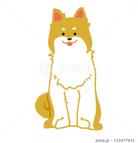柴犬　手書き　ゆるい犬イラスト 133877933