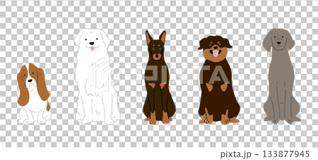 手書き ゆるい犬イラスト6 手書き ゆるい犬イラスト6 133877945