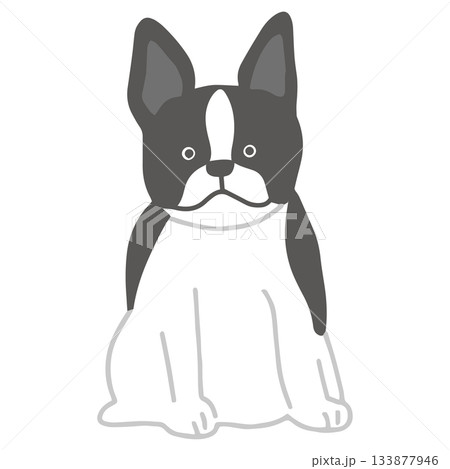 ボストン・テリア 手書き ゆるい犬イラスト ボストン・テリア 手書き ゆるい犬イラスト 133877946