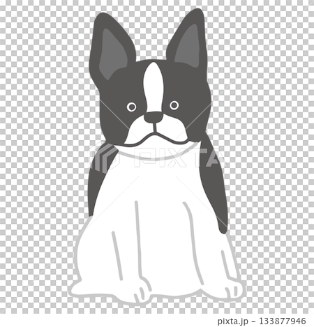 ボストン・テリア 手書き ゆるい犬イラスト ボストン・テリア 手書き ゆるい犬イラスト 133877946