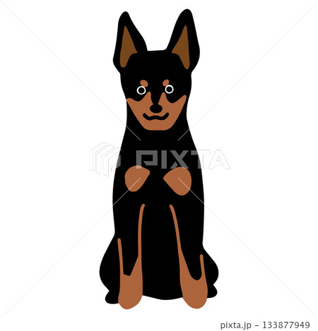 ミニチュア・ピンシャー 手書き ゆるい犬イラスト ミニチュア・ピンシャー 手書き ゆるい犬イラスト 133877949
