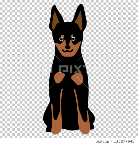 ミニチュア・ピンシャー 手書き ゆるい犬イラスト ミニチュア・ピンシャー 手書き ゆるい犬イラスト 133877949