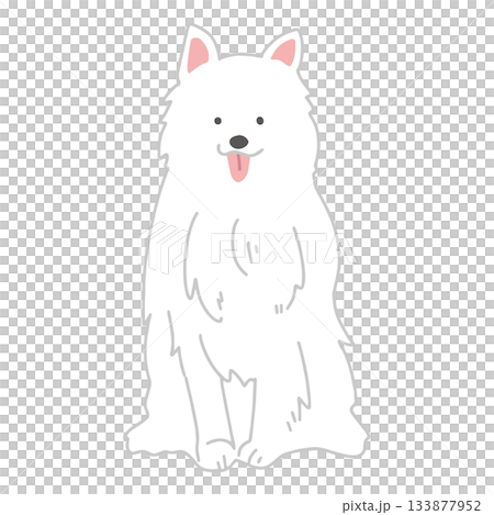 薩摩耶犬手繪插圖 薩摩耶犬手繪插圖 133877952