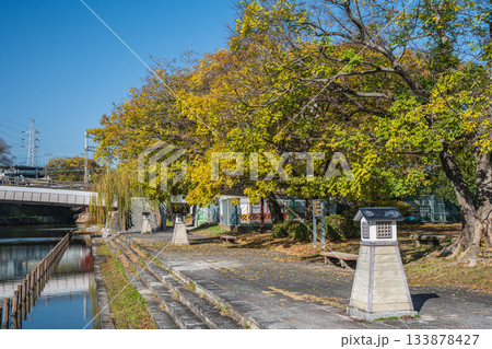晩秋の伏見港公園　京都市伏見区 133878427