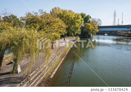 晩秋の伏見港公園 京都市伏見区 晩秋の伏見港公園 京都市伏見区 133878429
