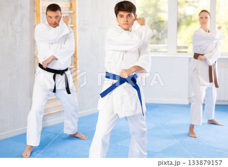 Athletes have starting position and repeating sequence of punches and painful techniques in kata 133879157