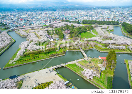 五稜郭の桜 五稜郭の桜 133879173