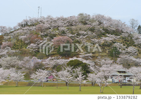 霧島市の丸岡公園 霧島市の丸岡公園 133879282
