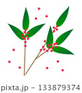 シンプルな南天と赤い実のイラスト素材 133879374