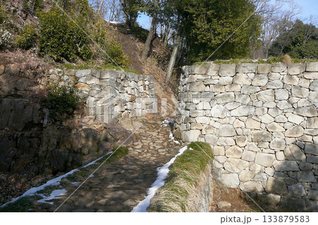 群馬県:新田金山城跡/雪解けの土橋と虎口【日本100名城・国指定史跡】太田市金山町 群馬県:新田金山城跡/雪解けの土橋と虎口【日本100名城・国指定史跡】太田市金山町 133879583