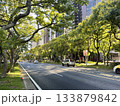 自動車 車 自転 133879842