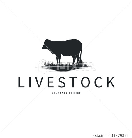 Cow logo simple design livestock and meat cutting, illustration design symbol and template for barand 133879852