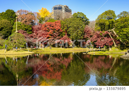 東京都 小石川後楽園 大泉水周辺 紅葉の風景 国の特別史跡 東京都 小石川後楽園 大泉水周辺 紅葉の風景 国の特別史跡 133879895