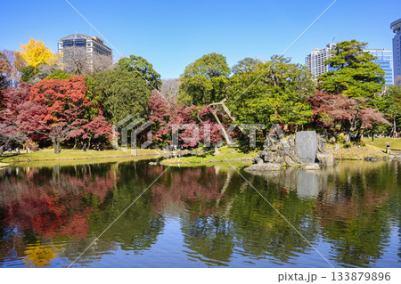 東京都 小石川後楽園 大泉水周辺 紅葉の風景 国の特別史跡 東京都 小石川後楽園 大泉水周辺 紅葉の風景 国の特別史跡 133879896