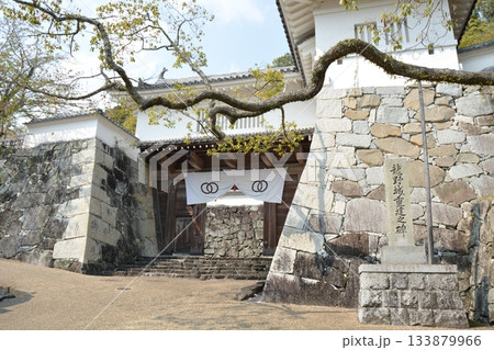 龍野城の外観風景 龍野城の外観風景 133879966