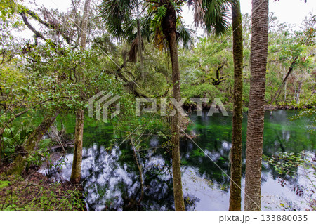 Blue Springs State Park, Florida Blue Springs State Park, Florida 133880035