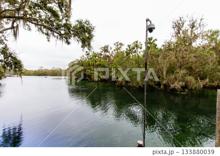 Blue Springs State Park, Florida 133880039